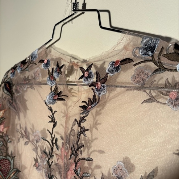 Zara Sheer Tulle Emroidered Blouse - Picture 9 of 14